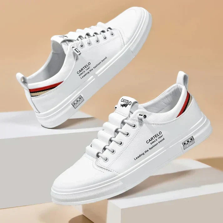 gid://shopify/MediaImage/24691962052702